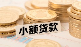 东莞13身份证贷款平台-东莞13私人借贷不查征信-东莞13空放借钱