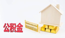 东莞13小额个人借贷-东莞13身份证小额贷款-东莞13小额贷款当天放款
