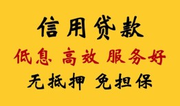 东莞13哪里有私人借贷-东莞13贷款咨询-东莞13哪有民间借贷