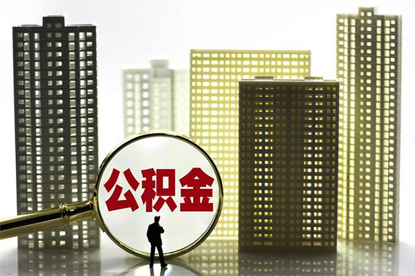 东莞13短期借款